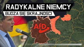 Niemcy chcą ZMIANY GRANIC POLSKI  Radykalizacja NIEMIEC AFD [upl. by Circosta]