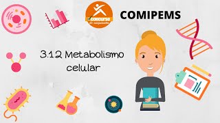 3 12 Metabolismo celular COMIPEMS [upl. by Weirick839]