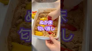 【ぬか床】匂いを消す方法👇 ぬか漬け 腸活 パプリカ ぬか床リフレッシュ ⭐️コンブは食べてね！ [upl. by Nanyk]