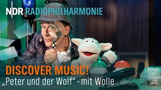 Prokofjew quotPeter und der Wolfquot  Klassik für Kinder  NDR Radiophilharmonie [upl. by Aenit]