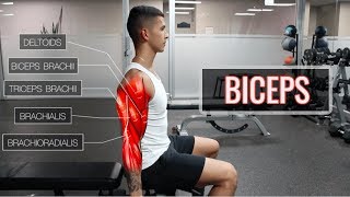 The Best ScienceBased Bicep Workout  ARMS Part 12 [upl. by Annagroeg918]