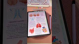 how I take aesthetic notes on my iPad ✍️ goodnotes digital note taking  iPad note taking tips [upl. by Einnad725]