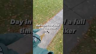 Part 1  Dog Walker DITL🐾dogs dogshorts dogwalk doglover smallbusiness dogmom ditl petlover [upl. by Nuawd713]