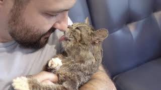 Clean Cuddle and Crash with Lil BUB [upl. by Sheehan]