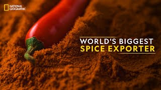 Worlds Biggest Spice Exporter  It Happens Only in India  National Geographic [upl. by Eilyab]