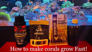 What to feed corals to increase growth and color Best coral food to make corals grow fast [upl. by Ttenaj382]