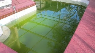 How to Clear Up Green Swimming Pool Water Pt 3 Video [upl. by Ahsurej]