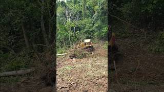 Bulldozer Pushing Trees in the Garden bulldozer heavyequipment dozer [upl. by Ellehsat]