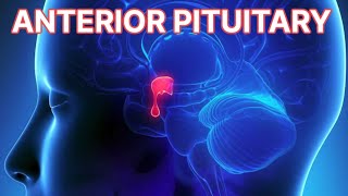 Anterior Pituitary Disorders updated 2023  CRASH Medical Review Series [upl. by Anaimad]