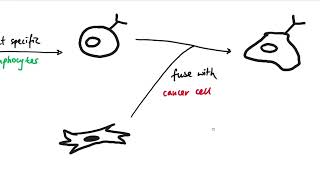 AQA GCSE  B6 Preventing and treating diseases OVERVIEW [upl. by Piggy]