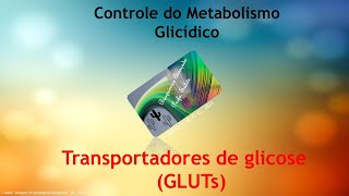 Transportadores de glicose  GLUTs [upl. by Nahaj]