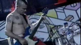 red hot chilli peppers  californication live mtv music awards [upl. by Idnyl]