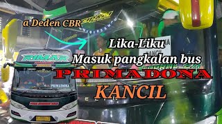 likaliku menuju Pangkalan Bus PUTRA LURAGUNG PRIMADONA KANCIL PADETSEMERAWUT [upl. by Sirref]