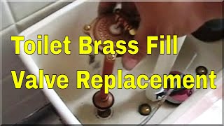 Toilet Brass Fill valve Replacement  How To Plumbing [upl. by Oznerol]