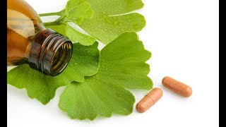 The role of herbs bacopa and ginkgo biloba on memory enhancement [upl. by Azeel756]