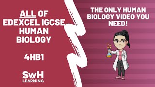 ALL of Edexcel IGCSE Human Biology 4HB1  SwH Learning [upl. by Aiuoqes929]