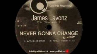 James Lavonz featuring Tanya T  Never Gonna Change Lavonz Dub [upl. by Ayalahs]