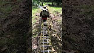 Live Steam brambleton railway steamengine [upl. by Hyde]