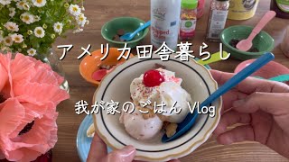 【🇺🇸アメリカ田舎暮らし】Vlog チキンとマルサラワインのパスタアイスクリームパーティー 国際結婚 暮らしのvlog [upl. by Bloxberg]