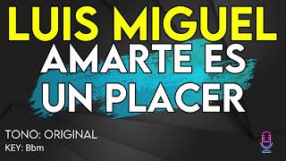 Luis Miguel  Amarte Es Un Placer  Karaoke Instrumental [upl. by Erodroeht]