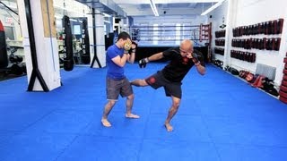 How to Use Kicks  MMA Fighting [upl. by Ebsen663]