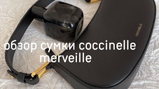 BAGS REVIEW COCCINELLE MERVEILLE [upl. by Dnalsor]