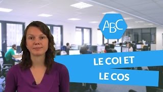 Cours de français 6ème  le COI et le COS [upl. by Aylward]