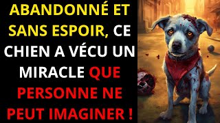 CHIEN ABANDONNÉ A UNE FIN INCROYABLE QUI A TRANSFORMÉ SA VIE ET ​​TOUCHÉ DES MILLIERS DE PERSONNES [upl. by Niwri]