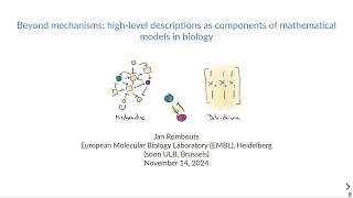 WG Virtual Seminars Rombouts Coarse Graining of Complex Biological Mechanisms November 14 2024 [upl. by Yssor]