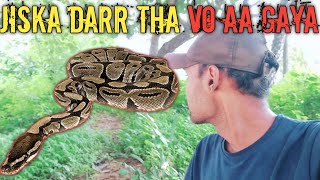 Aaj toh kya dekh liye maine ll jungle mai ajgar wala spot anoconda wildencounter vlogs [upl. by Anilat]