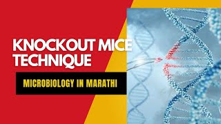 knockout Mice Technique For Immunological Research  Immunology  Microbiology In Marathi [upl. by Atinav289]