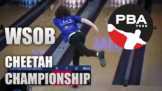 WSOB CHEETAH HIGHLIGHTS [upl. by Enyahc]