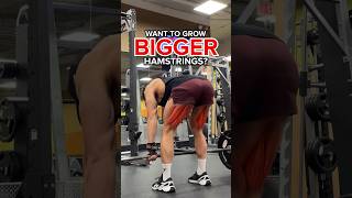 3 BEST Exercises for BIGGER Hamstrings [upl. by Aihcela579]