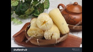 viral delicious strong tea and boiled cassava health strong breakfast [upl. by Fredra]