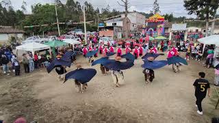 FOLKLOR AZUAYO OTAVALO [upl. by Vorfeld]