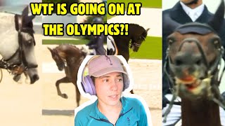 Paris Olympic Equestrian Sports A WELFARE DISASTER  Horse Behaviour Specialist Speaks Out [upl. by Nosneb]