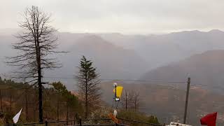 top view of shimla  naldehra hotel Trimurti  amazing view naldehra shimla  shimla vlogs [upl. by Carlick]