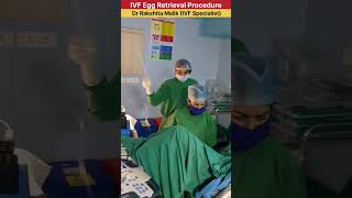 IVF Egg Retrieval Procedure by Dr Rakshita Malik gynaecologist ivfspecialist mbbs medical neet [upl. by Nwahsaj]