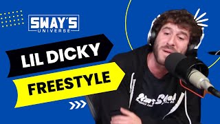 Lil Dicky TV Show Performance [upl. by Mcnalley]