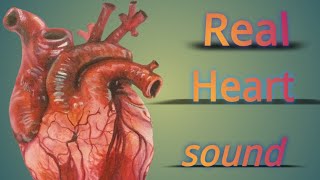 Real heart sound❤❤❤ll physiology heartbiology neet physiology studyknowledgecom [upl. by Annej]