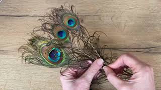 HOW TO CURL A PEACOCK FEATHER Millinery feathers shapingcurling [upl. by Llert]