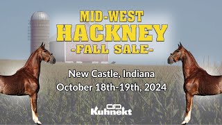 Pony Sale  2024 Midwest Hackney Fall Sale [upl. by Kingston]