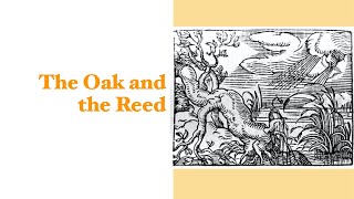 The Oak and the Reed [upl. by Stoll958]