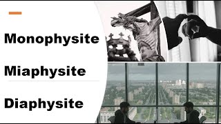 Monophysite Miaphysite Diaphysite [upl. by Ileek]