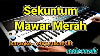 sekuntum mawar merah  elvy sukaesih  Karaoke Lirik Tanpa vocal by jampang pbg  psrs670 [upl. by Ardnait]