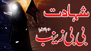 15 Rajab Shahdat Hazrat Zainab sa  Mazaib Bibi Zainab sa  Waqia  History  Ali Hassan 14 [upl. by Clayborn]