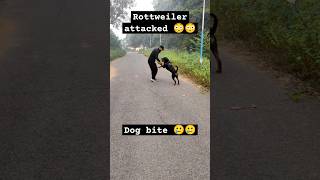 Rottweiler attacked to protect his owner 😳 youtubeshorts rottweiler doglover shorts [upl. by Maxia]