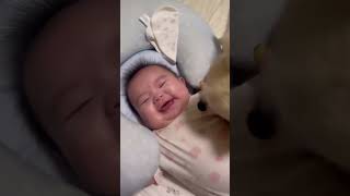 This Cute Baby Loves His Dog baby babyvideos funnybaby [upl. by Willy189]