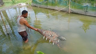 Fishing Adventure Catching the Big One শেষ পযন্ত দেখুন মজা আছে শেষে  এমন মাছ কেউ ধরা দেখছেন  দেখলে [upl. by Eipper750]