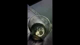 Barium reacting with water [upl. by Burt488]